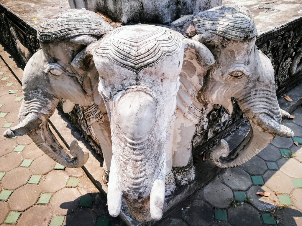 symbolic meaning of elephants