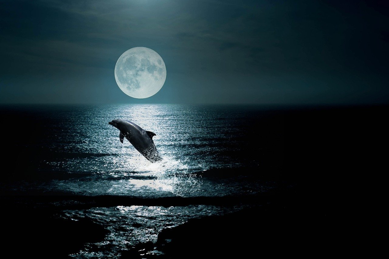 Symbolic meaning of dolphins