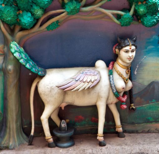 Kamadhenu cow symbolism